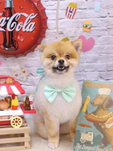 20230928たぬきちくん